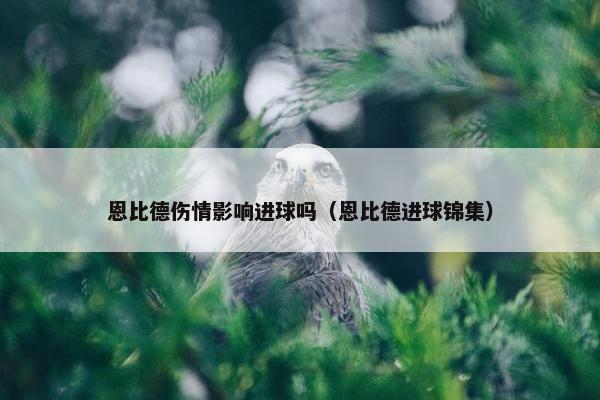 恩比德伤情影响进球吗（恩比德进球锦集）
