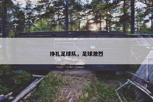 挣扎足球队，足球激烈