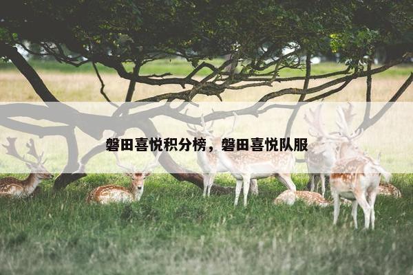 磐田喜悦积分榜，磐田喜悦队服