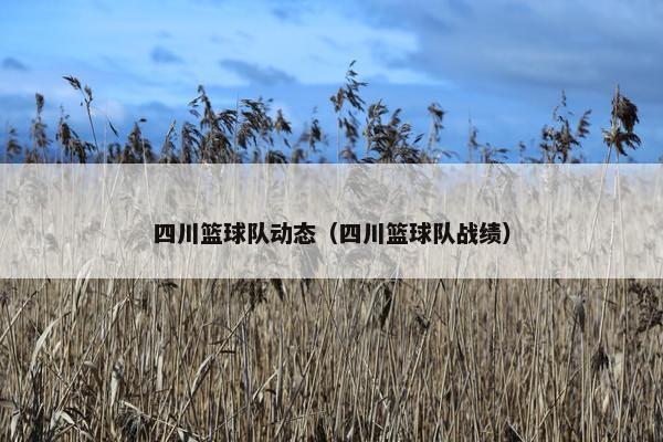 四川篮球队动态（四川篮球队战绩）