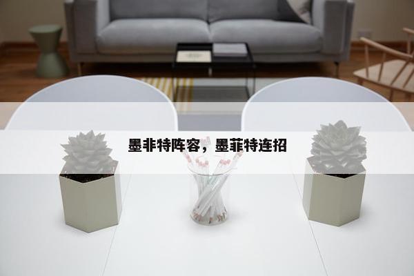 墨非特阵容，墨菲特连招