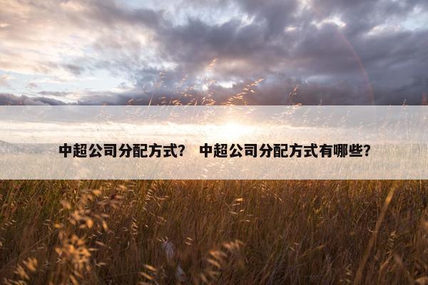 中超公司分配方式？ 中超公司分配方式有哪些？
