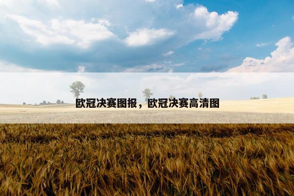 欧冠决赛图报，欧冠决赛高清图