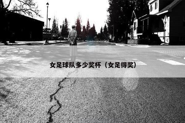 女足球队多少奖杯（女足得奖）