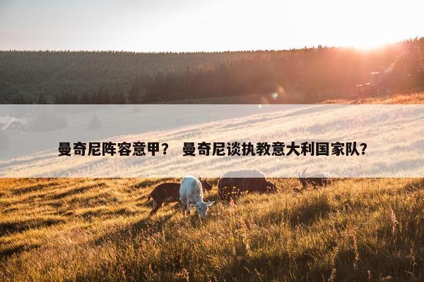 曼奇尼阵容意甲？ 曼奇尼谈执教意大利国家队？