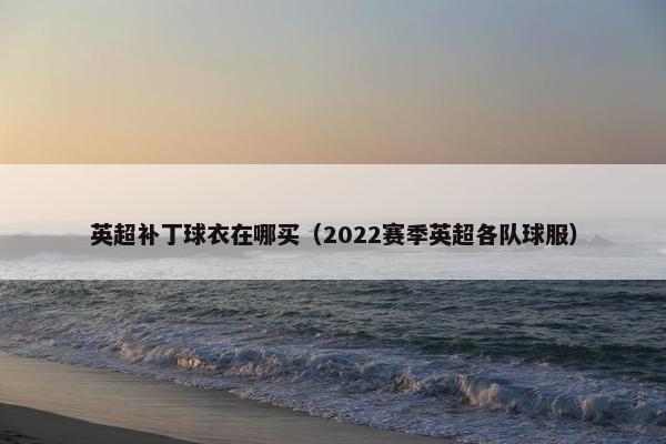 英超补丁球衣在哪买（2022赛季英超各队球服）