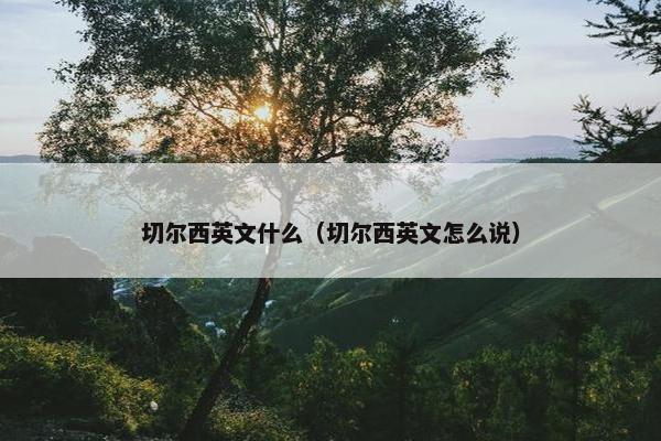 切尔西英文什么（切尔西英文怎么说）