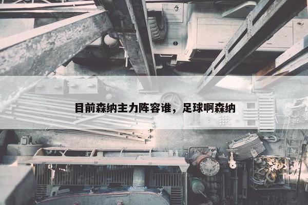 目前森纳主力阵容谁，足球啊森纳