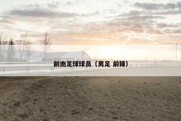 前南足球球员（男足 前锋）