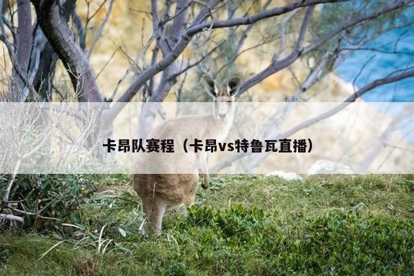 卡昂队赛程（卡昂vs特鲁瓦直播）