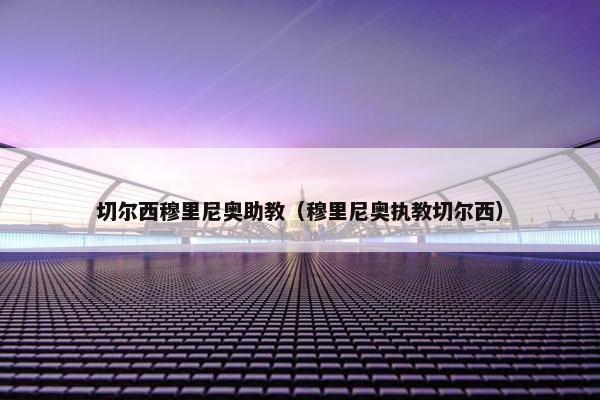 切尔西穆里尼奥助教（穆里尼奥执教切尔西）