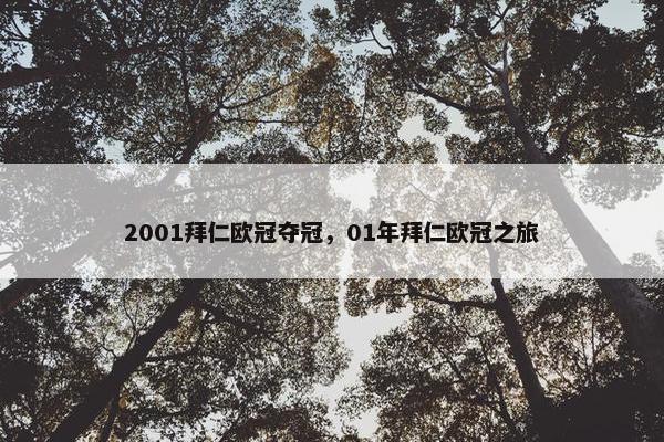 2001拜仁欧冠夺冠，01年拜仁欧冠之旅