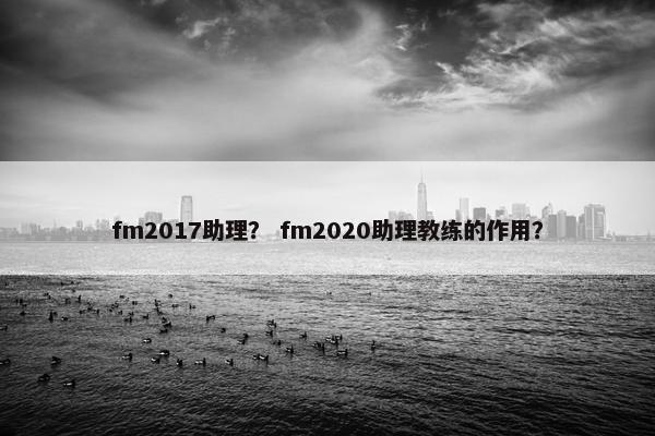 fm2017助理？ fm2020助理教练的作用？