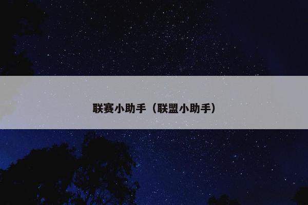 联赛小助手（联盟小助手）