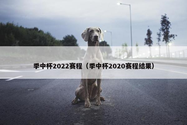 季中杯2022赛程（季中杯2020赛程结果）