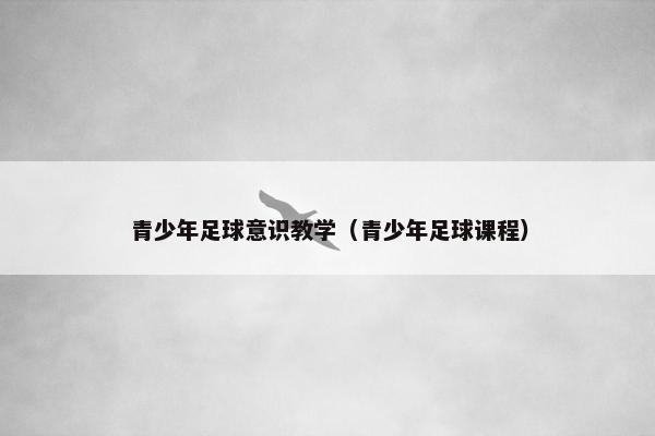 青少年足球意识教学（青少年足球课程）
