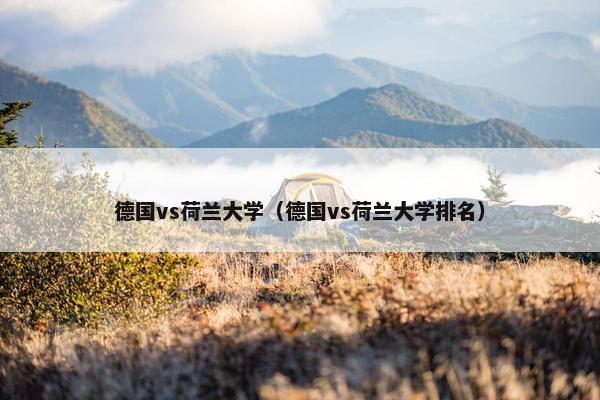 德国vs荷兰大学（德国vs荷兰大学排名）