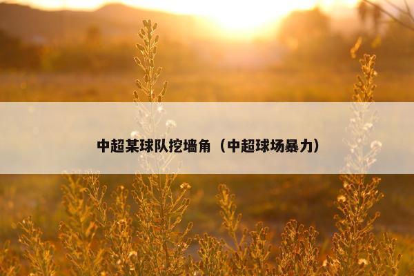 中超某球队挖墙角（中超球场暴力）