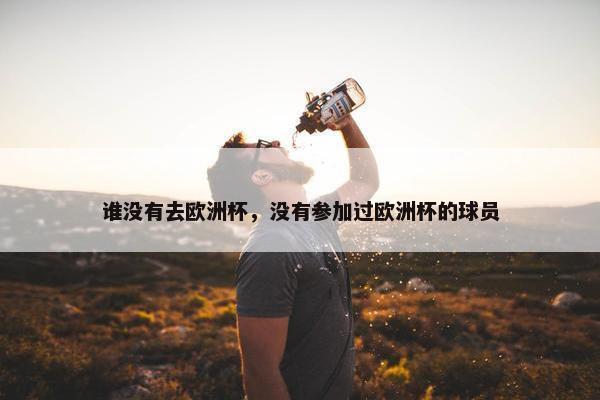 谁没有去欧洲杯，没有参加过欧洲杯的球员
