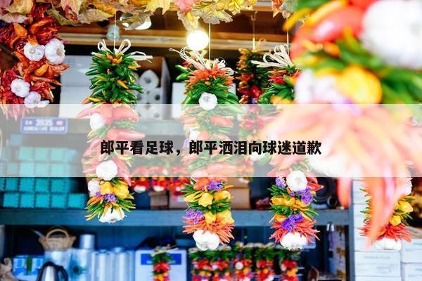 郎平看足球，郎平洒泪向球迷道歉