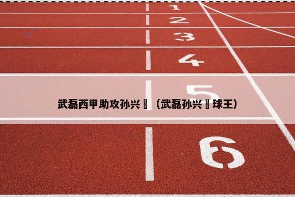武磊西甲助攻孙兴慜（武磊孙兴慜球王）