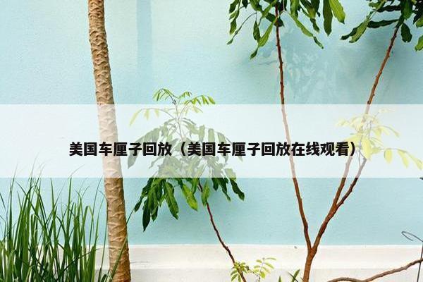 美国车厘子回放（美国车厘子回放在线观看）