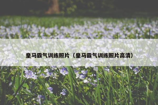皇马霸气训练照片（皇马霸气训练照片高清）