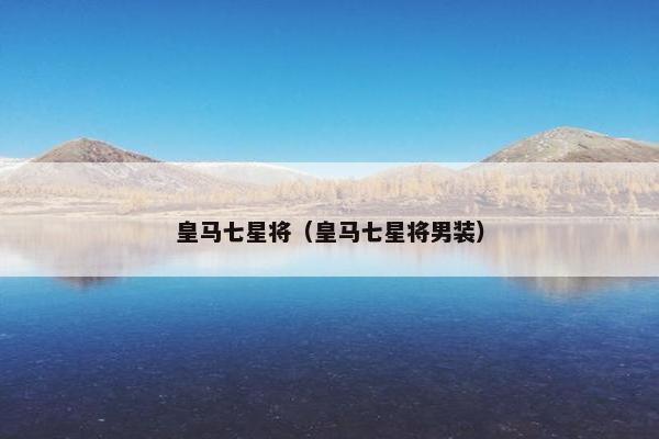 皇马七星将（皇马七星将男装）