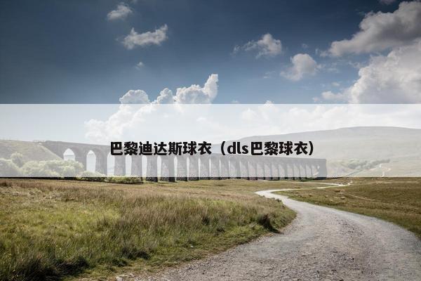 巴黎迪达斯球衣（dls巴黎球衣）