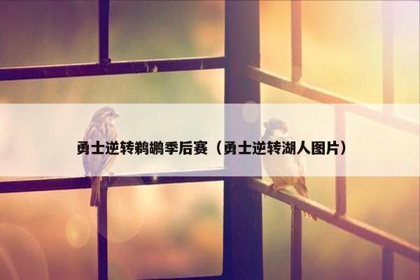 勇士逆转鹈鹕季后赛（勇士逆转湖人图片）