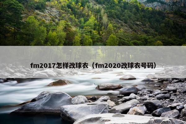 fm2017怎样改球衣（fm2020改球衣号码）