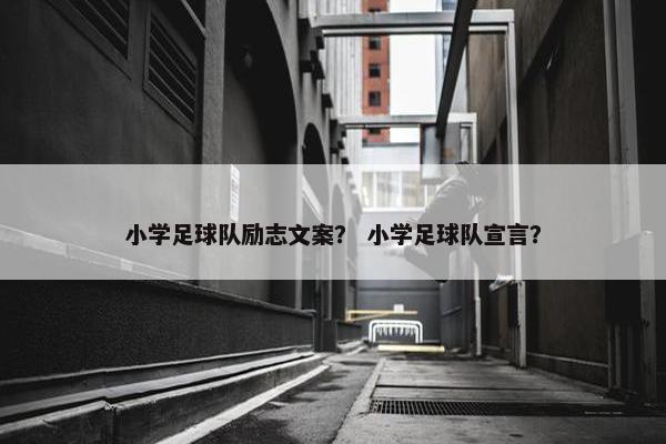 小学足球队励志文案？ 小学足球队宣言？