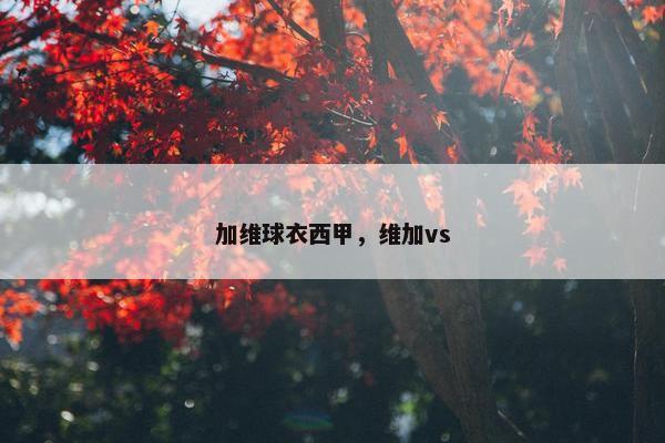 加维球衣西甲，维加vs