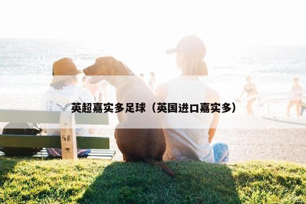 英超嘉实多足球（英国进口嘉实多）