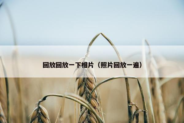回放回放一下相片（照片回放一遍）