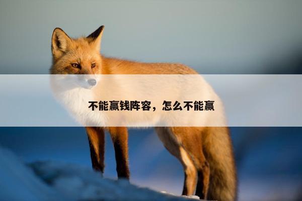 不能赢钱阵容，怎么不能赢