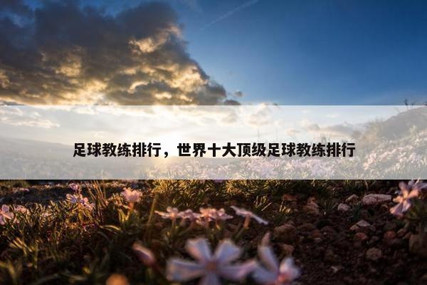 足球教练排行，世界十大顶级足球教练排行