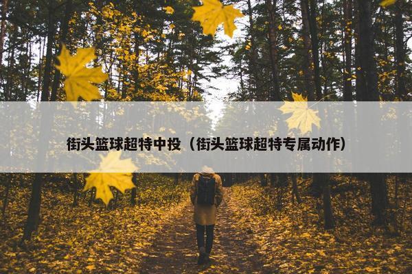街头篮球超特中投（街头篮球超特专属动作）