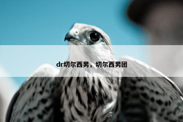 dr切尔西男，切尔西男团