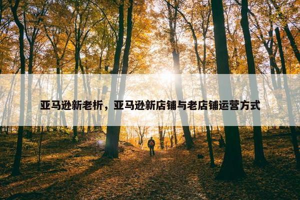 亚马逊新老析，亚马逊新店铺与老店铺运营方式