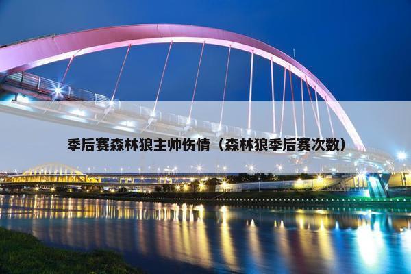 季后赛森林狼主帅伤情（森林狼季后赛次数）