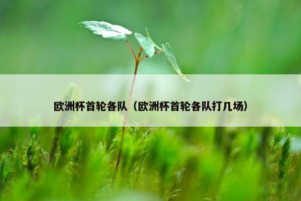 欧洲杯首轮各队（欧洲杯首轮各队打几场）