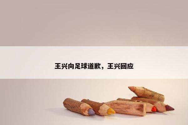 王兴向足球道歉，王兴回应