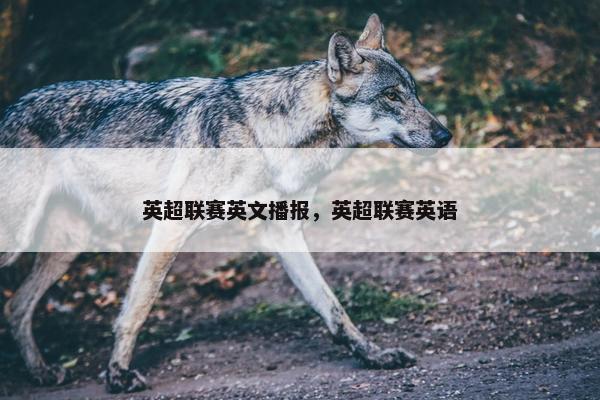 英超联赛英文播报，英超联赛英语