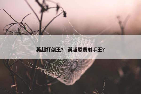 英超打架王？ 英超联赛射手王？
