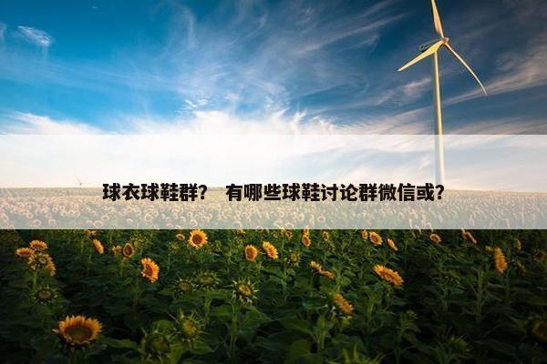 球衣球鞋群？ 有哪些球鞋讨论群微信或？