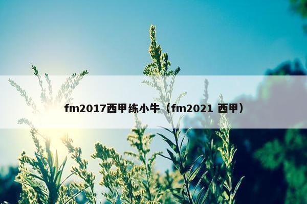 fm2017西甲练小牛（fm2021 西甲）