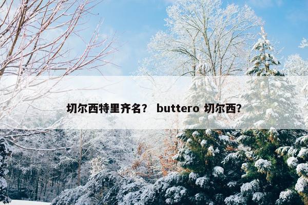 切尔西特里齐名？ buttero 切尔西？