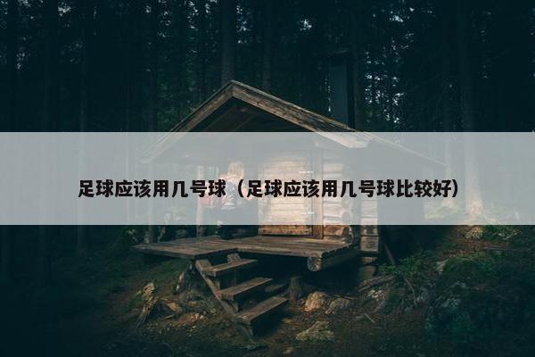 足球应该用几号球（足球应该用几号球比较好）