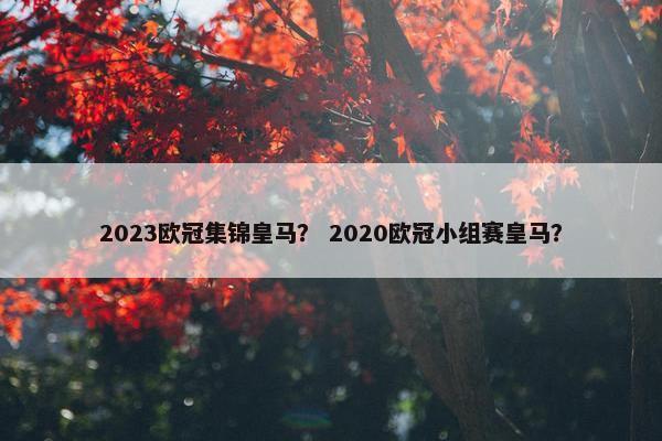 2023欧冠集锦皇马？ 2020欧冠小组赛皇马？